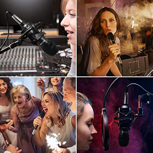 Micrófono De Karaoke Dinámico Para Cantar, Micrófono Con Cab