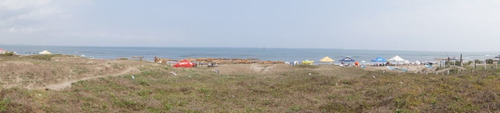 Imagen 4 de 9 de Terreno De 5,000 M2 A Pie De Playa En Venta En Antón Lizardo