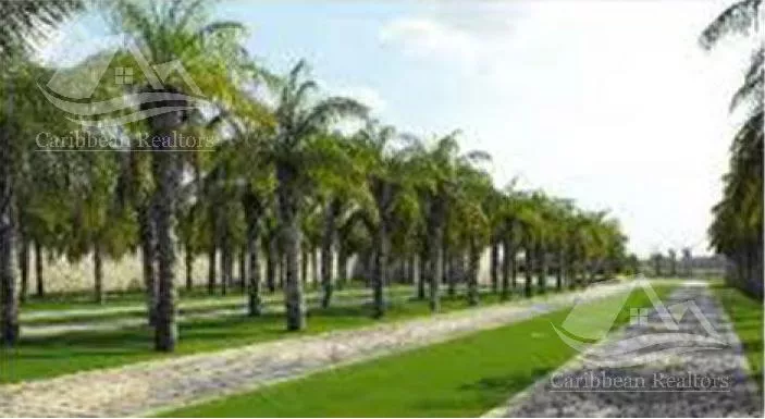 Terreno En Venta En Tulum / Riviera Tulum Ksa1250