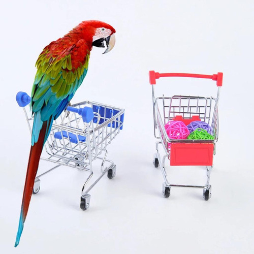 Juguetes Para Pájaros Para Periquitos, Juego De 5 Juguetes