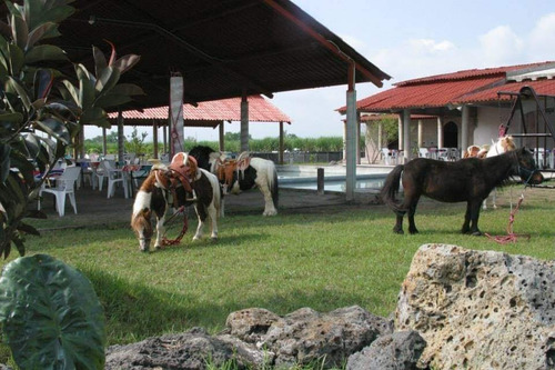Rancho En Venta, Cesión De Derechos Ejidal