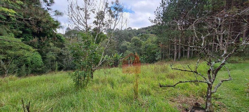 Imagem 18 de 30 de Chácara Com 3 Dormitórios À Venda, 96 M² Por R$ 3.450.000,00 - Colinas De Cotia - Cotia/sp - Ch0082