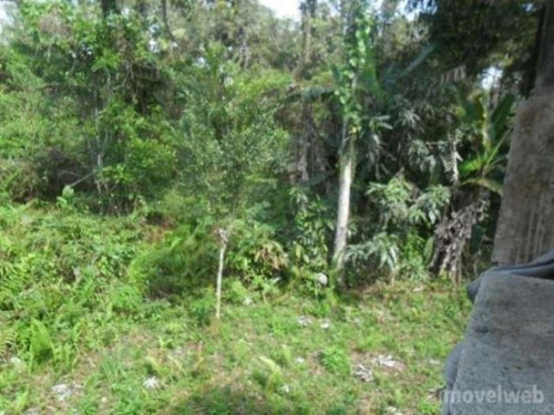 Chácara - 218 - 3207027
