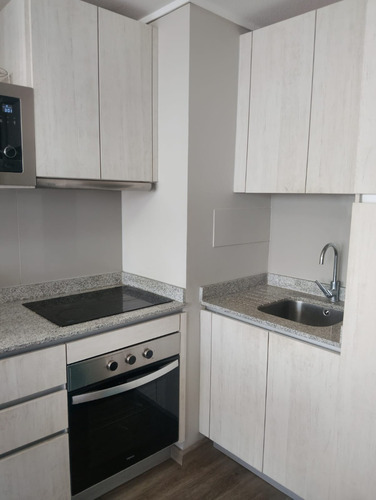 Amoblado O Semi, Arriendo Hermoso Y Cómodo Depto, Est. Bodg