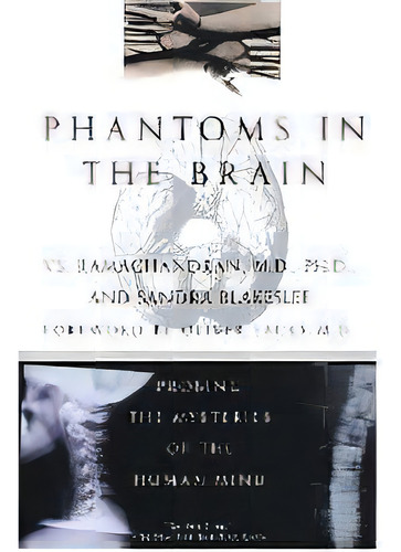Phantoms In The Brain, De V S Ramachandran. Editorial William Morrow & Company, Tapa Blanda En Inglés