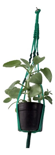 Materos En Macramé Plant Hanger 