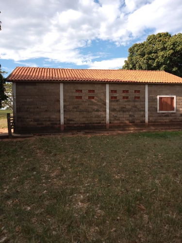 Imagem 8 de 30 de Fazenda À Venda Em Echaporã/sp - Fa00113 - 68992877