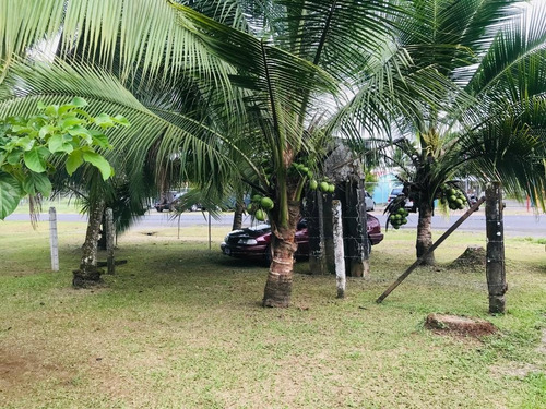 Imagen 23 de 23 de Vendo, Cambio, O Financio Propiedad En San Luis Guácimo, Limón 18 Millones Negociable