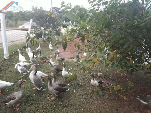 Terreno A Venda No Bairro Jardim Residencial Villa Amato Em - Te 072-1