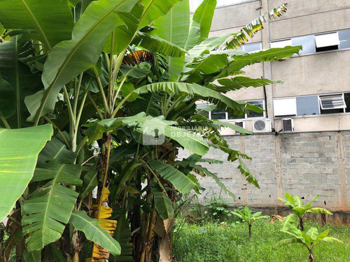 Imagem 26 de 30 de Terreno, Jardim Londrina, São Paulo - R$ 1.43 Mi, Cod: 1649 - V1649