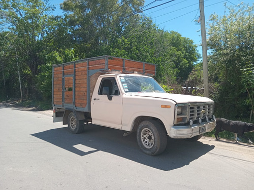 Ford F-100 Perking 4