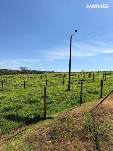Terreno À Venda, 05 Alqueires Paulista Por R$ 750.000 - Área Rural - Bauru/sp - Te0215