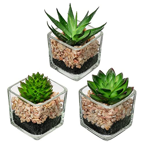 Set Of 3 Succulents Plants Artificial In Glass Pots Sma...