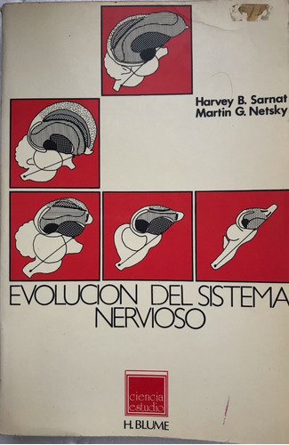 Sistema Nervioso, Evolución Del Sarnat, H