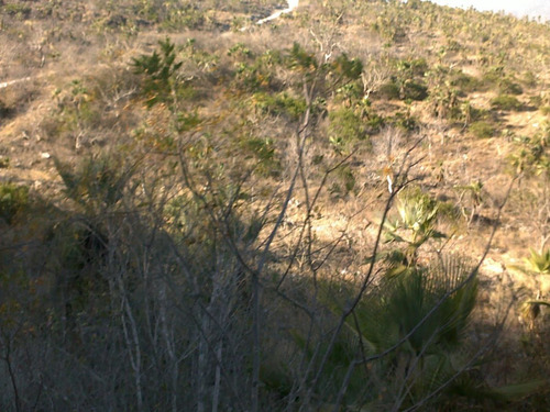Terreno Rústico En Venta 398 Hectáreas En Chilpancingo Guerrero