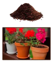 Comprar Tierra Preparada, Saco De 25 Kg \u002F Para Macetas Del Hogar