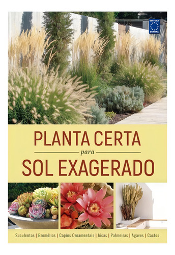 Planta Certa Para Sol Exagerado, De Editora Europa. Editorial Europa, Capa Mole, Edição 2024-10-26 00:00:00 Em Português