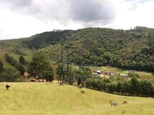 Cód 2896 - Lindo Sitio Com 16 Alqueires, 80% Aproveitável. - 2896