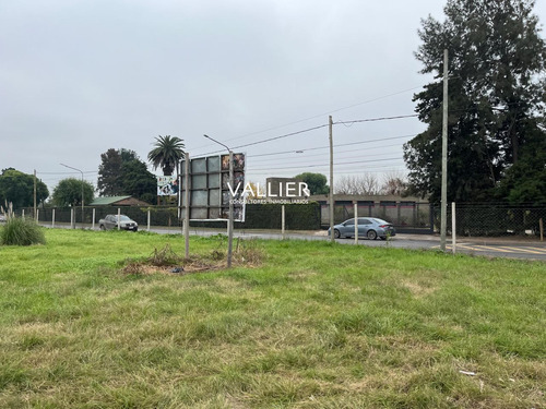 Fracción 1.7 Ha En Venta- Caamaño Km 46.5- Pilar, G.b.a. Zona Norte