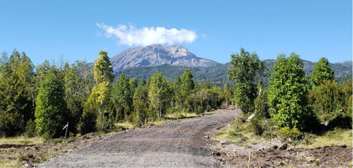 Imagen 16 de 23 de Venta De Parcela Parque Pudu, Puerto Varas Desde Uf.990