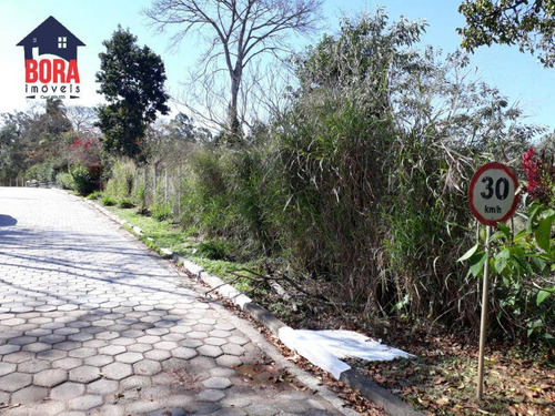 Imagem 5 de 5 de Terreno Residencial À Venda, Pirucaia, Mairiporã. - Te0173
