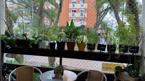 Imagem 4 de 11 de Apartamento - Tristeza - Ref: 23502 - V-23502