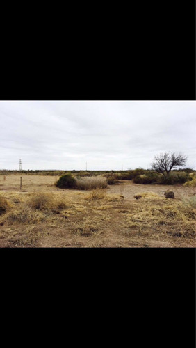 Imagen 2 de 7 de Finca Campo En Mendoza General Alvear 300 Hectareas C/riego