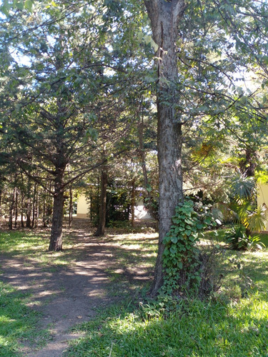 Cabañas Ayres Del Bosque Laguna De Lobos