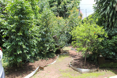 Venta Y Renta De Casa Sola Frente Al Lienzo Charro, Cuernavaca Morelos