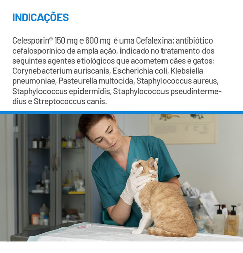 Celesporin Antibiótico 600mg Cartela Com 10 Comprimidos Cães