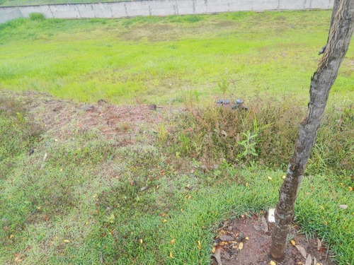 Imagem 3 de 3 de Terreno À Venda, 966 M² Por R$ 650.000,00 - Residencial Jatibela - Campinas/sp - Te0088