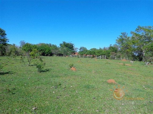 Imagem 15 de 16 de Venda - Sítio Da Ilha / Pilar Do Sul/sp - 4360