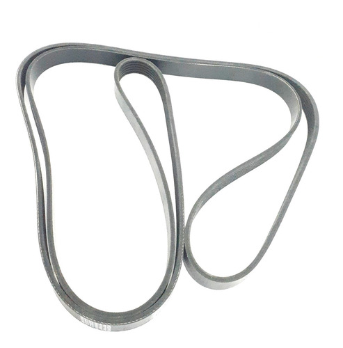 Correa Unica Cheyenne Gran Blazer 6pk2440