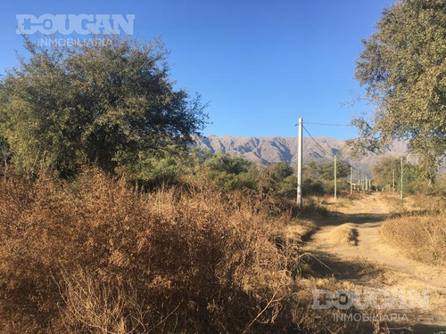 Imagen 3 de 4 de Terreno - Las Magdalenas