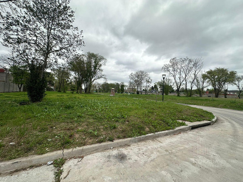 Venta Lote Financiación Avenida Olivos Y Panamericana Excelente Ubicación !!!
