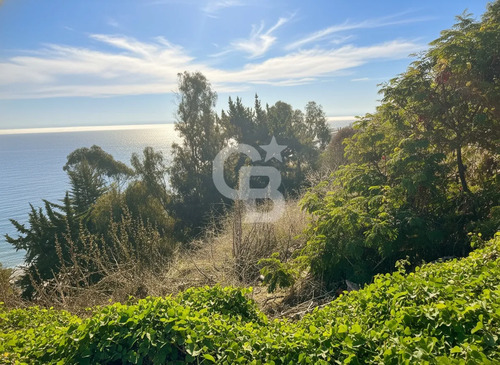 Sitio Urbano Reñaca Vista Despejada Para Construir