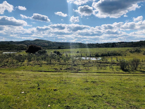 Venta Chacra 5,6 Hectareas Ruta 60 Sierra Tajamar Pozo