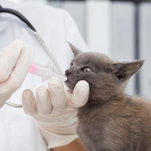 Jeringa De Alimentación Para Gatos De Punta Blanda Para Perr