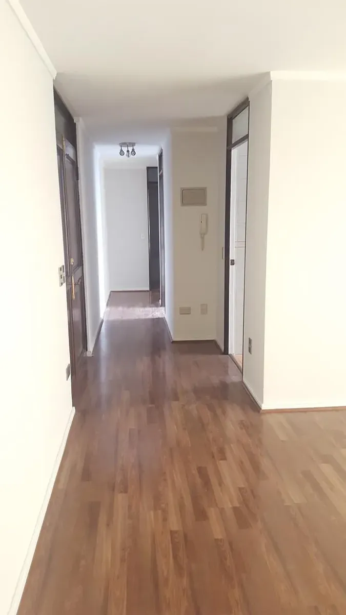 Imagen 3 de 15 de Excelente Departamento De Estilo Antiguo Pleno Providencia