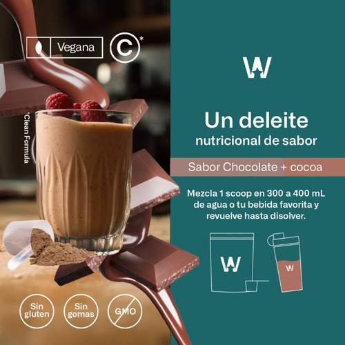 Suplemento Polvo Wellmade Proteina Vegana 951.9g Chocolate Sabor Chocolate Cocoa