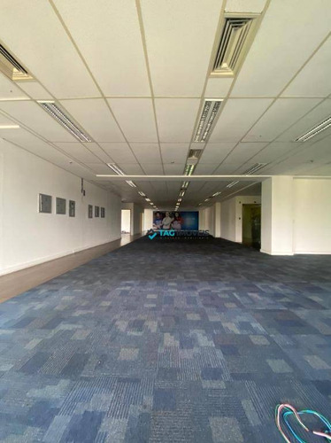 Imagem 6 de 20 de Sala Para Alugar, 240 M² Por R$ 15.509,00/mês - Nova Campinas - Campinas/sp - Sa0182