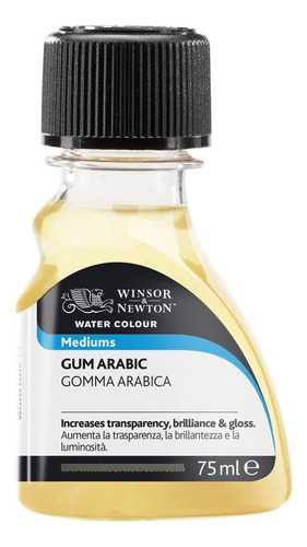 Goma Arábica Para Aquarela 75ml Winsor & Newton Acabamento Neutro Cor Transparente