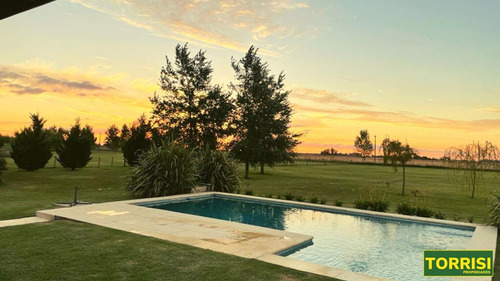 Imagen 7 de 20 de Venta - Casa 4 Amb Con Pileta - Chacras De Abbott - Bsas