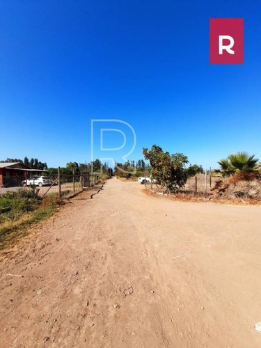 Imagen 3 de 10 de Terreno 5000 M2/ Calle Los Perros/ Talagante