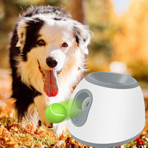 Para Lanzador Automático De Pelotas Para Perros De Tamaño