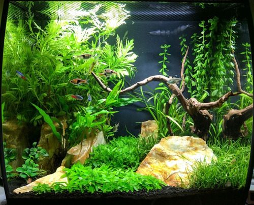 Acuario Fluval Flex 57 L