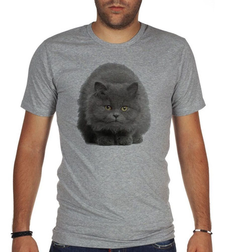 Remera De Hombre Gato Azul Ruso Sentado En Cuatro Patas