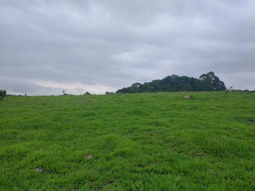 Os Melhores Terrenos Nesse Lugar Tão Incrível!