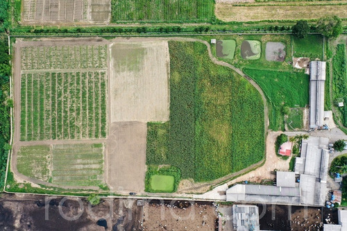 Imagen 28 de 29 de Granja Agrícola Y Porcina Turmero, De 5.7 Hectáreas 04123465023