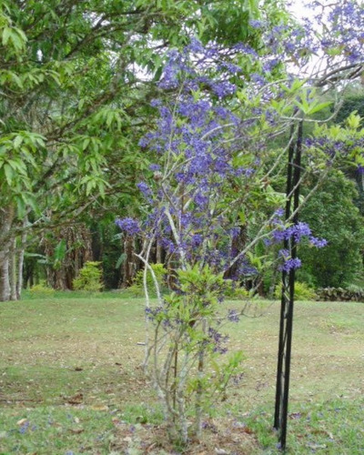 Imagem 8 de 30 de Sítio De Altíssimo Padrão, Construções Em Fino Acabamento, Com Piscina E Exuberante Vista Panorâmica Em Meio A Natureza. Localizado Em Juquitiba/sp - 28 - 32982799